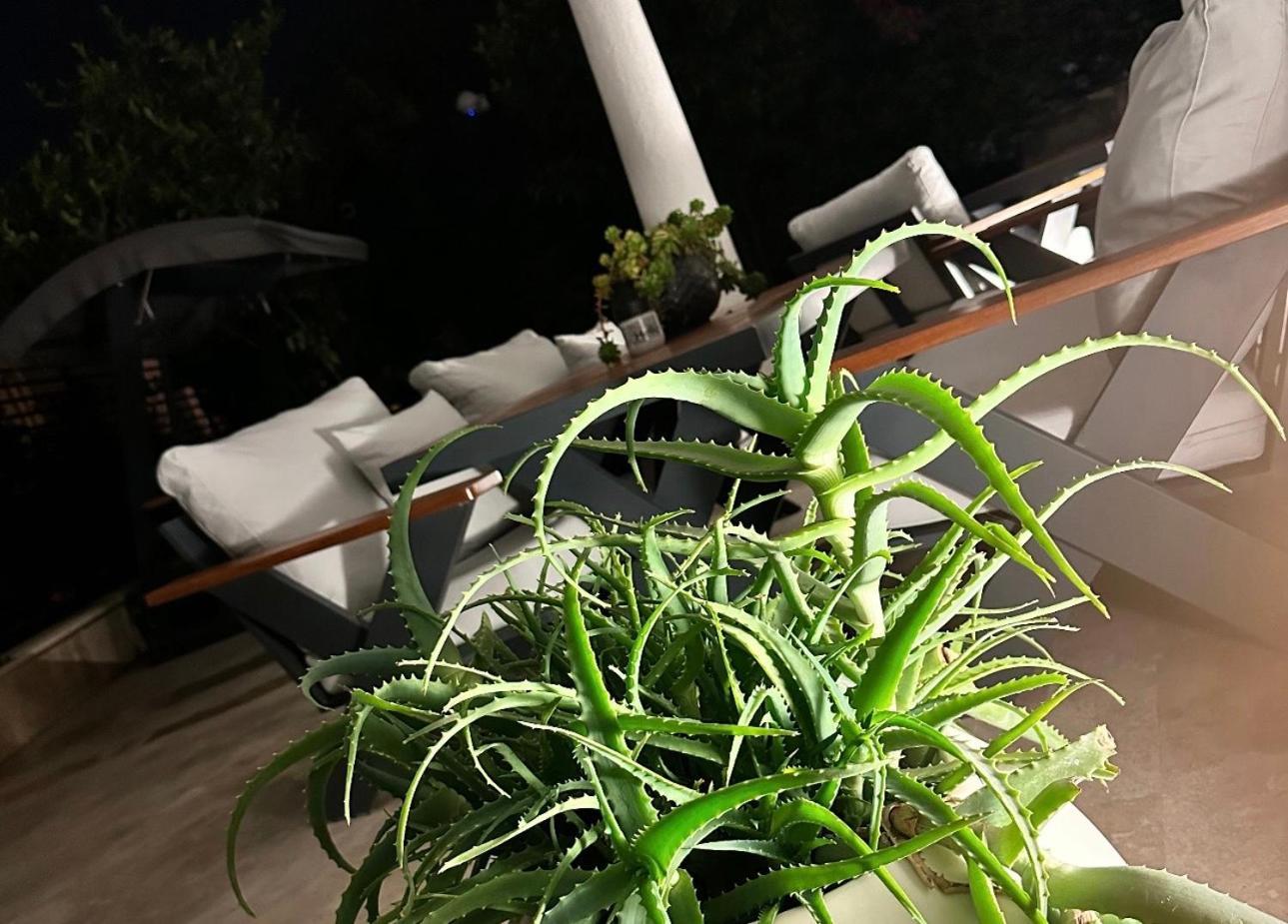 בודרום Noa Suite Hotel Only Adult מראה חיצוני תמונה